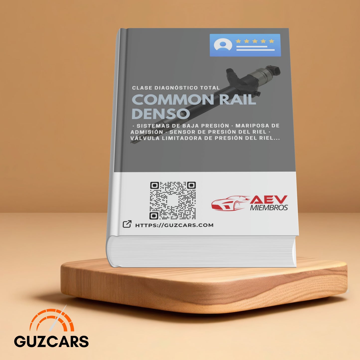 Experto diagnóstico TOTAL en Common Rail Denso
