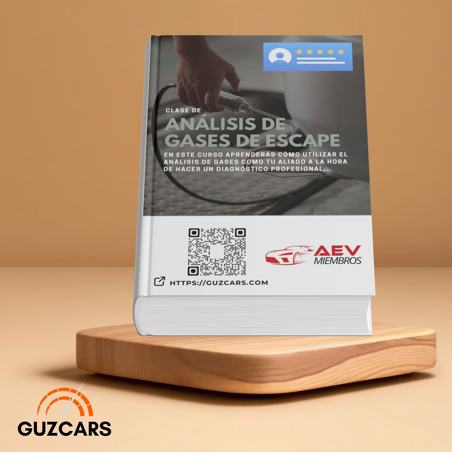 Experto en Análisis de Gases de Escape