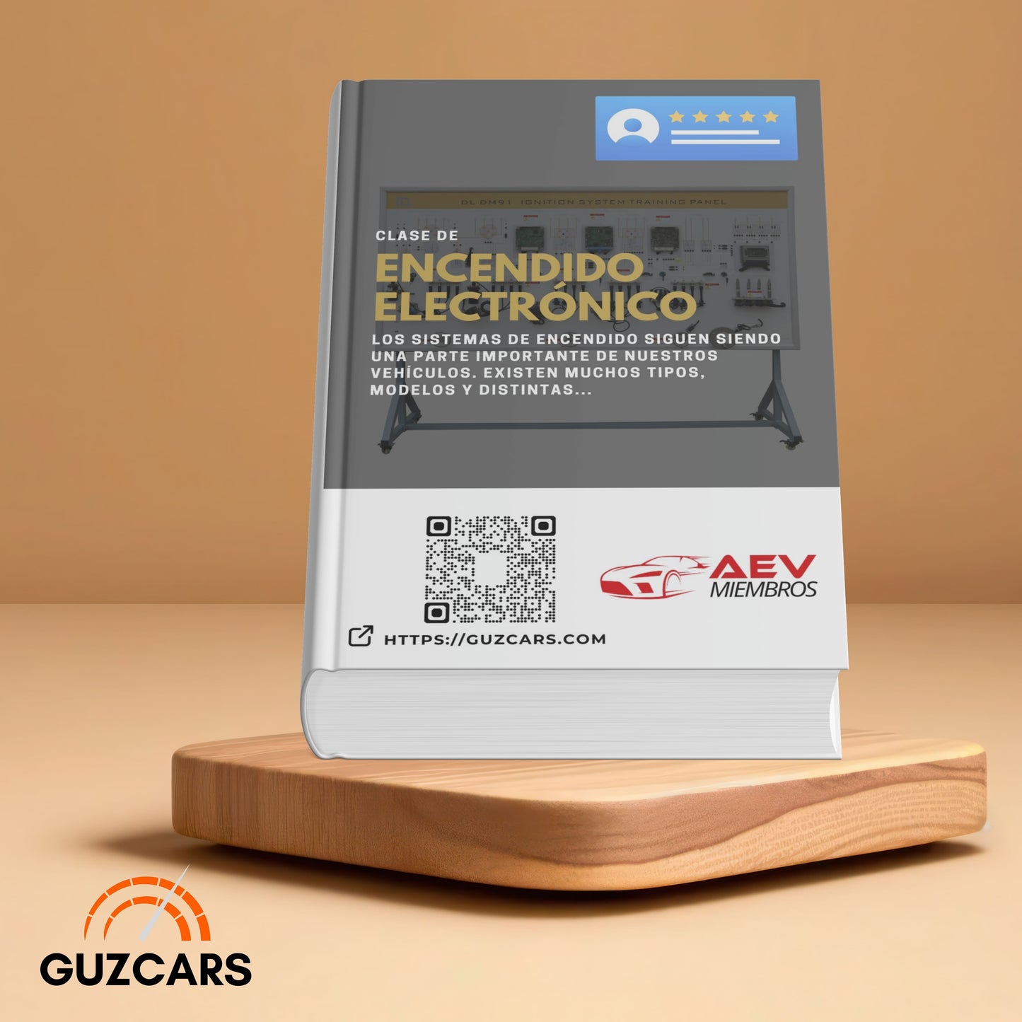 Experto en Sistemas de encendido