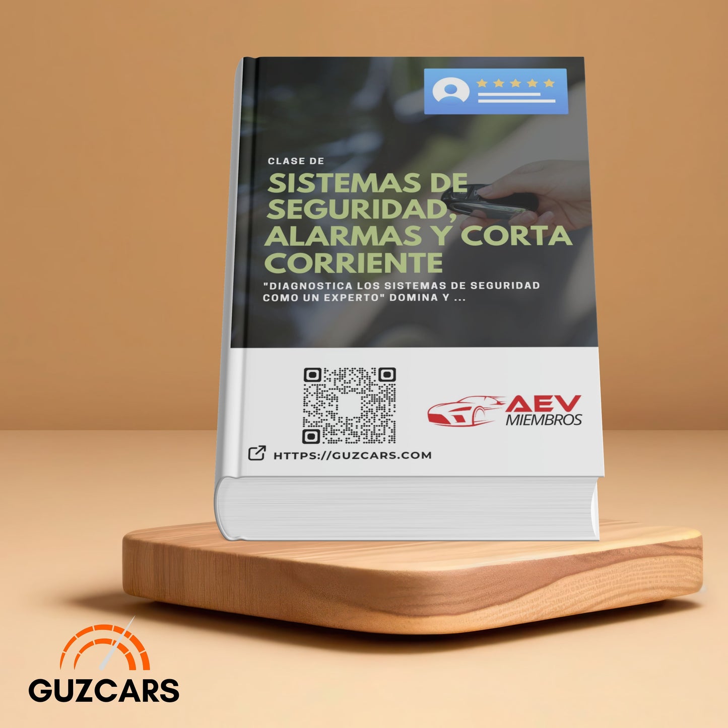 Experto en Sistemas de Seguridad Total