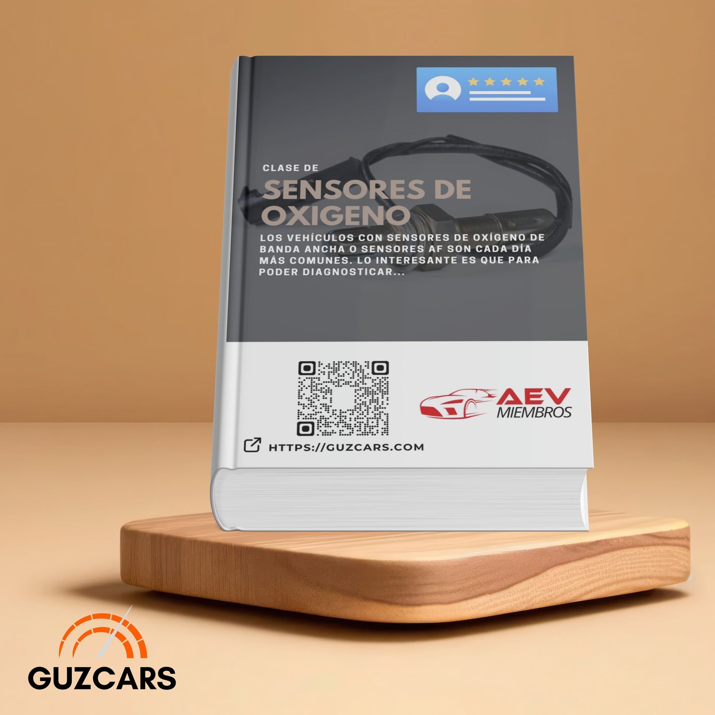 Experto en Sensores de Oxígeno