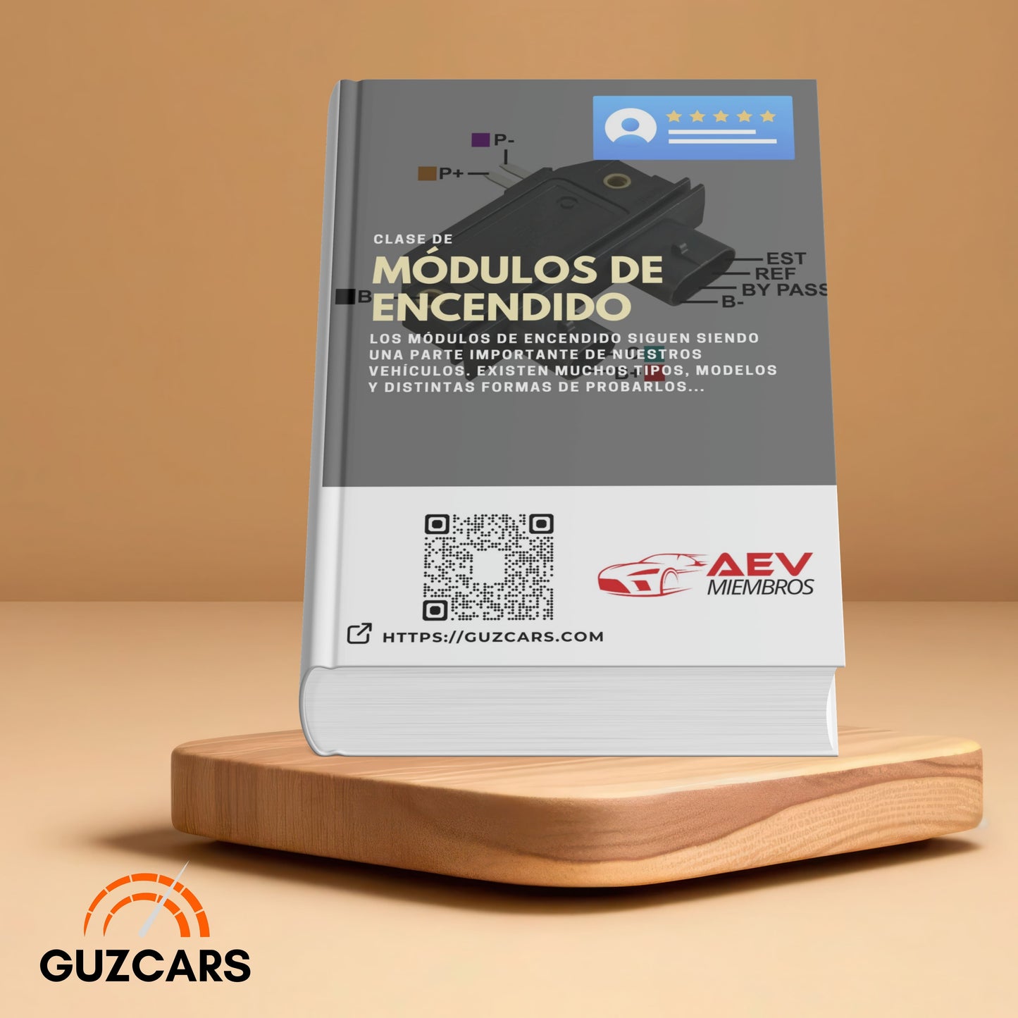 Experto en Módulos de Encendido