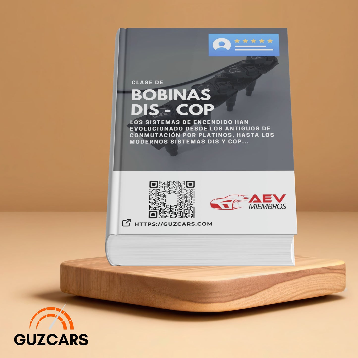 Experto en Bobinas DIS - COP