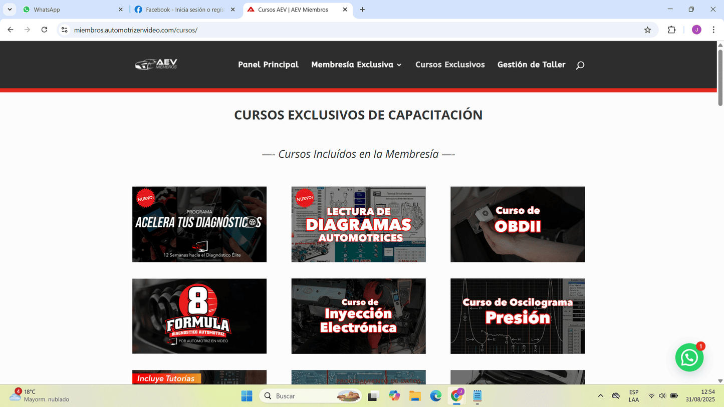 Cuenta premium AEV