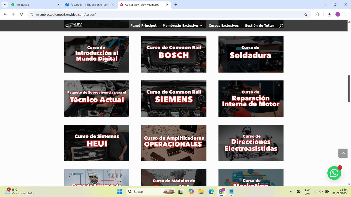 Cuenta premium AEV