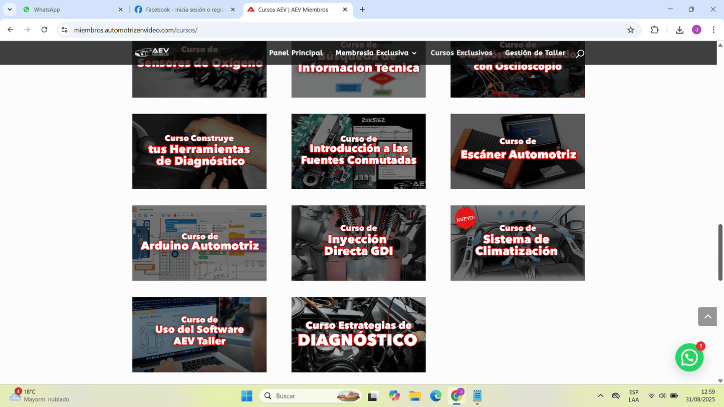 Cuenta premium AEV