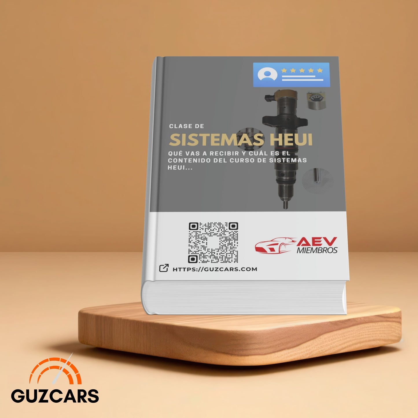 Experto De Sistemas common rail HEUI