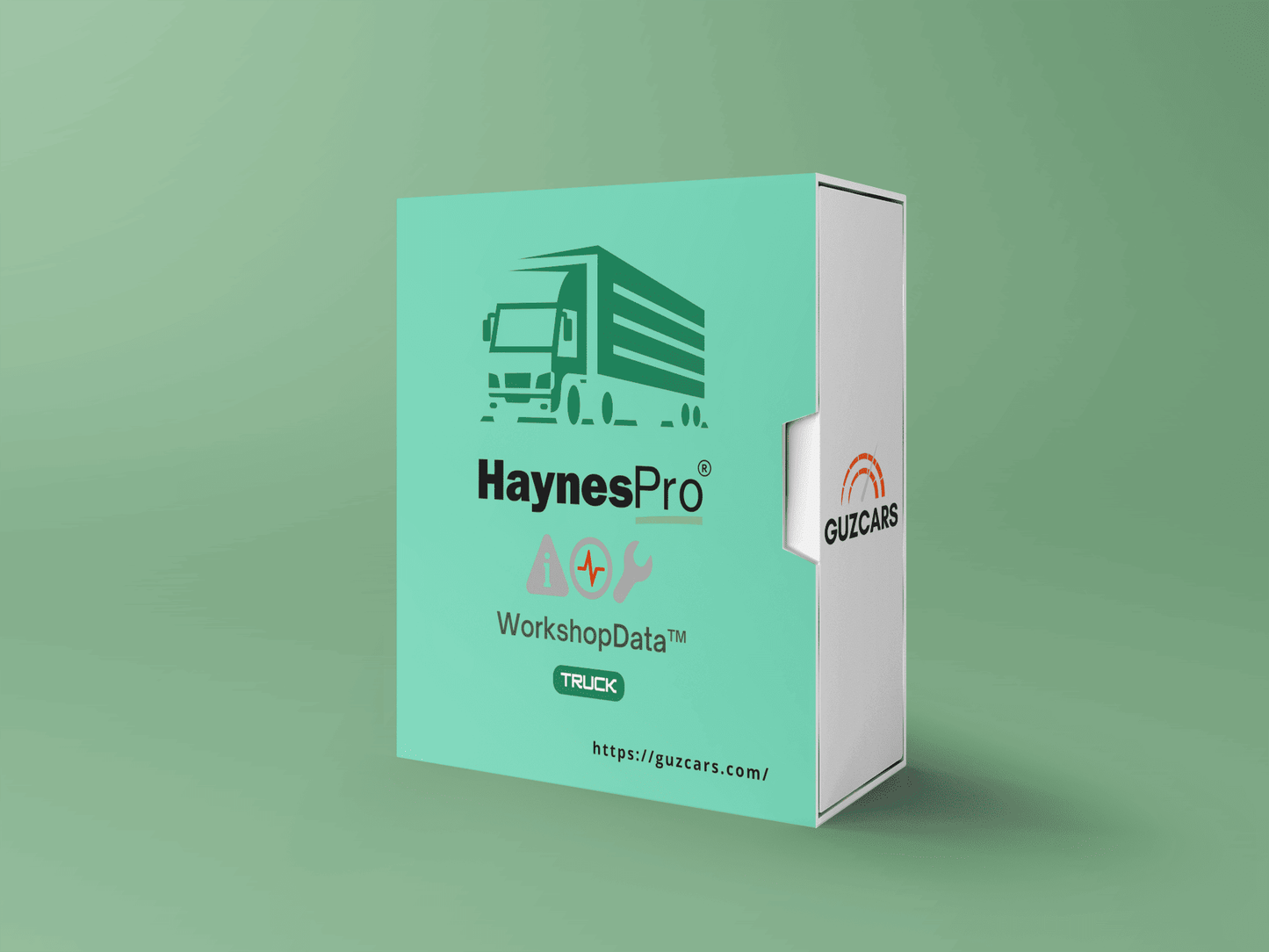 HaynesPro Truck