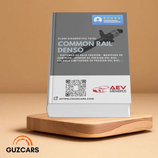Experto diagnóstico TOTAL en Common Rail Denso