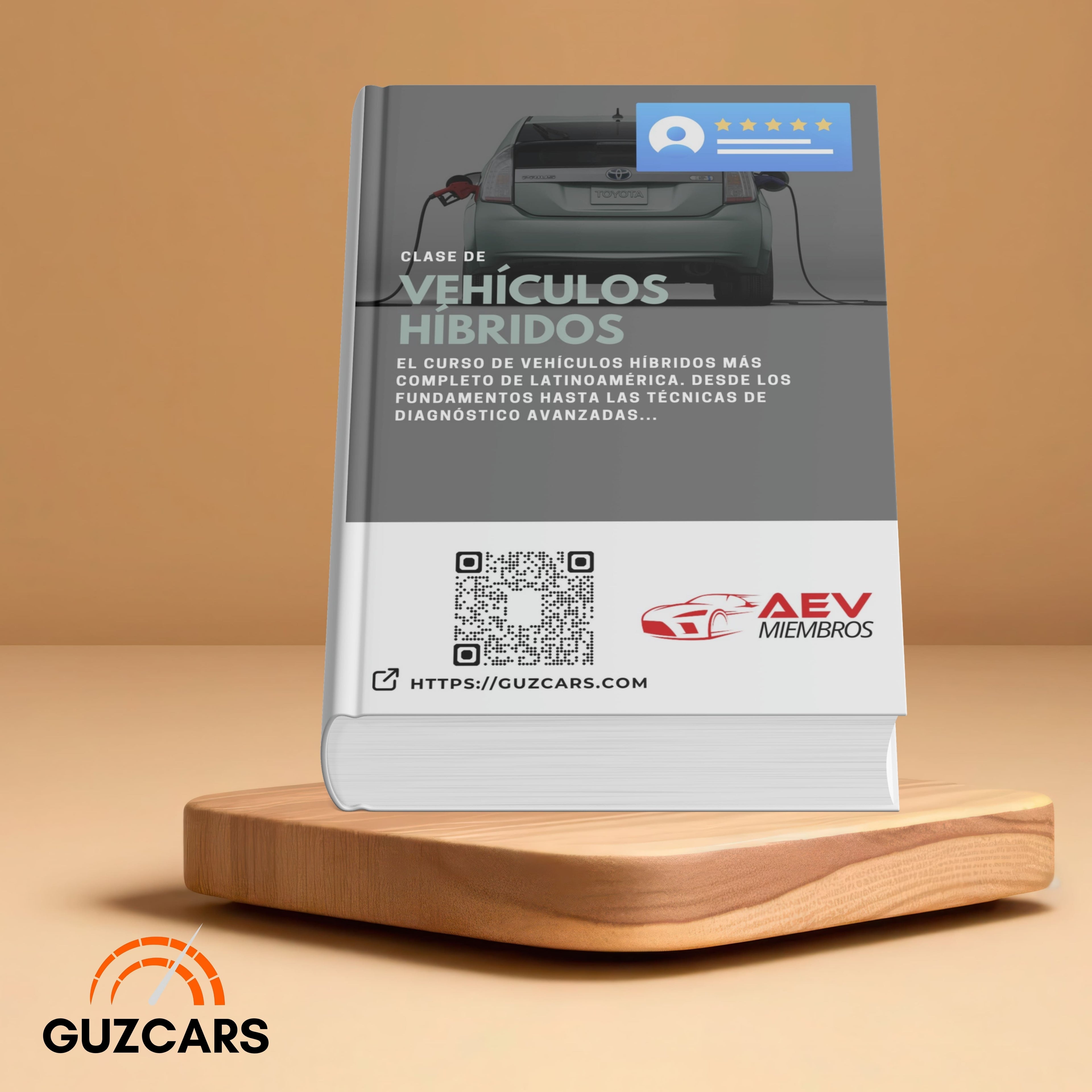 Experto de Vehículos Híbridos