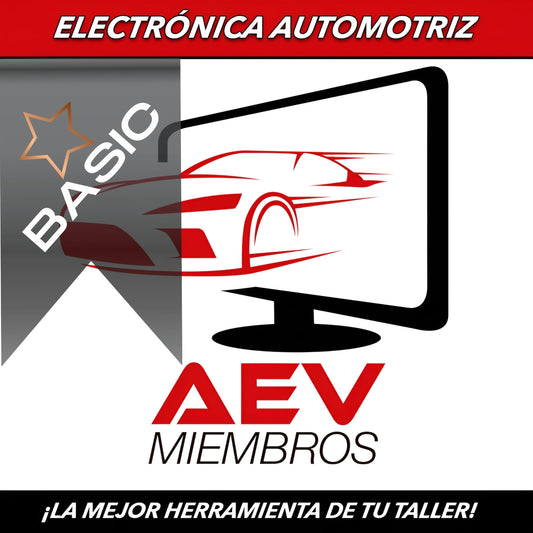 Cuenta Basic AEV