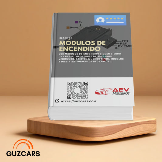 Experto en Módulos de Encendido
