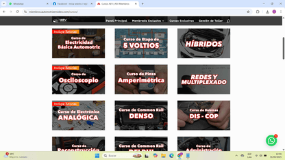Cuenta premium AEV