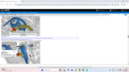Alldata Repair online 