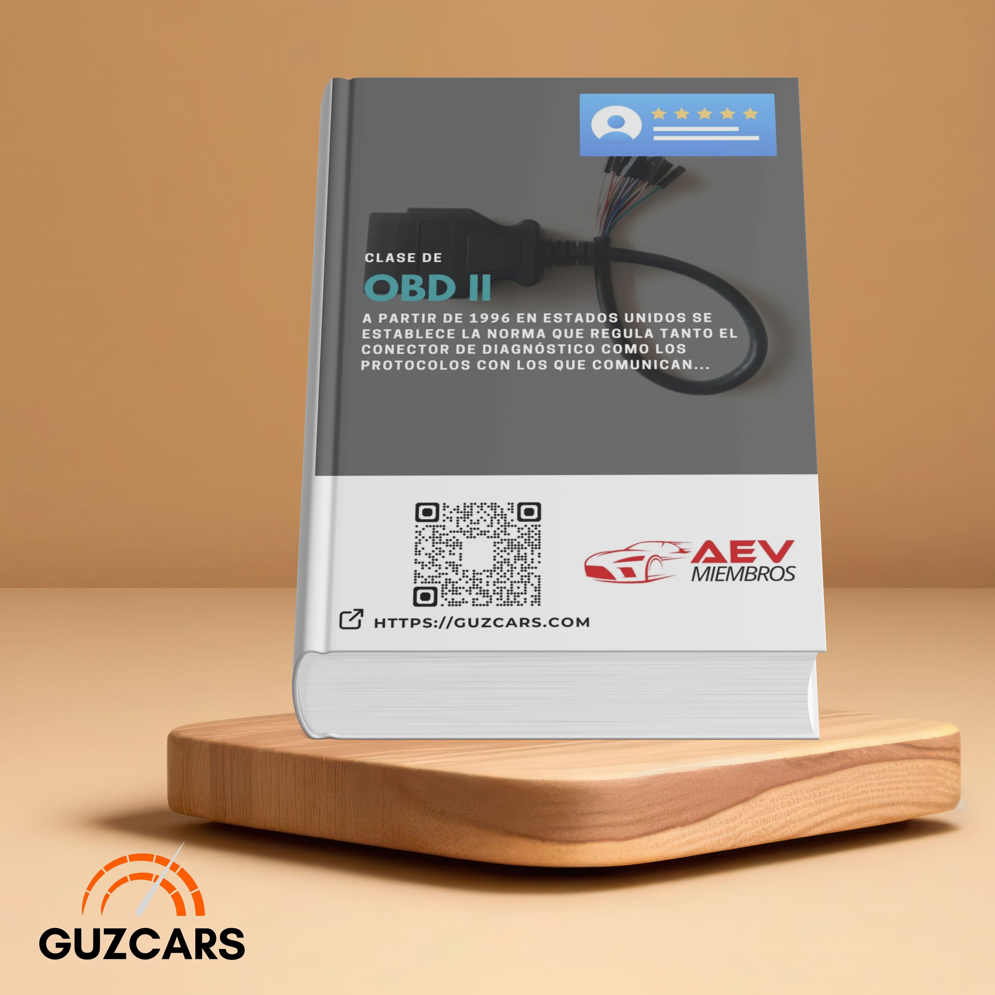 OBDII Systems Expert