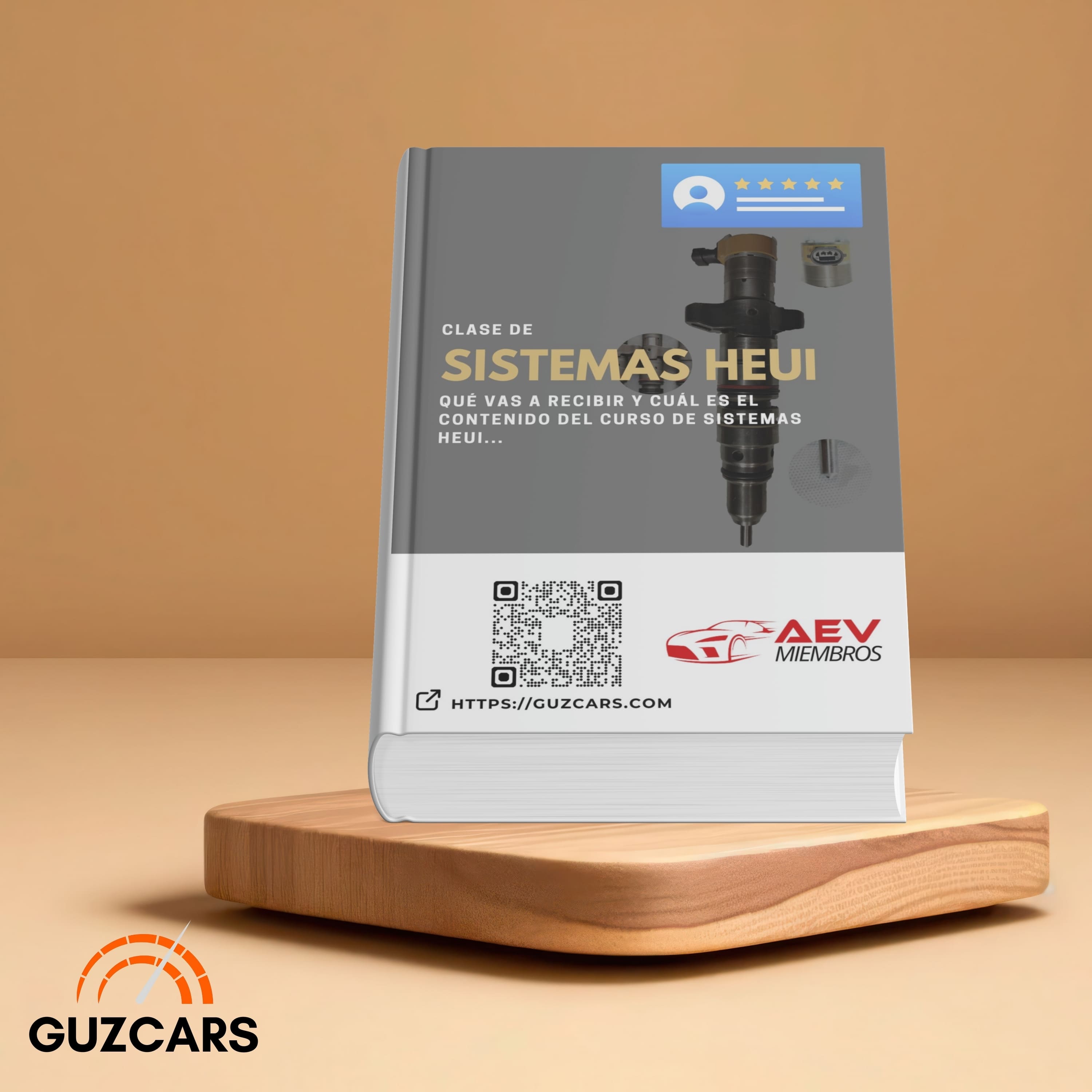 HEUI Common Rail Systems Expert